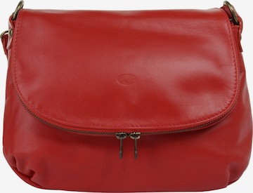 piké Crossbody bag in Red: front