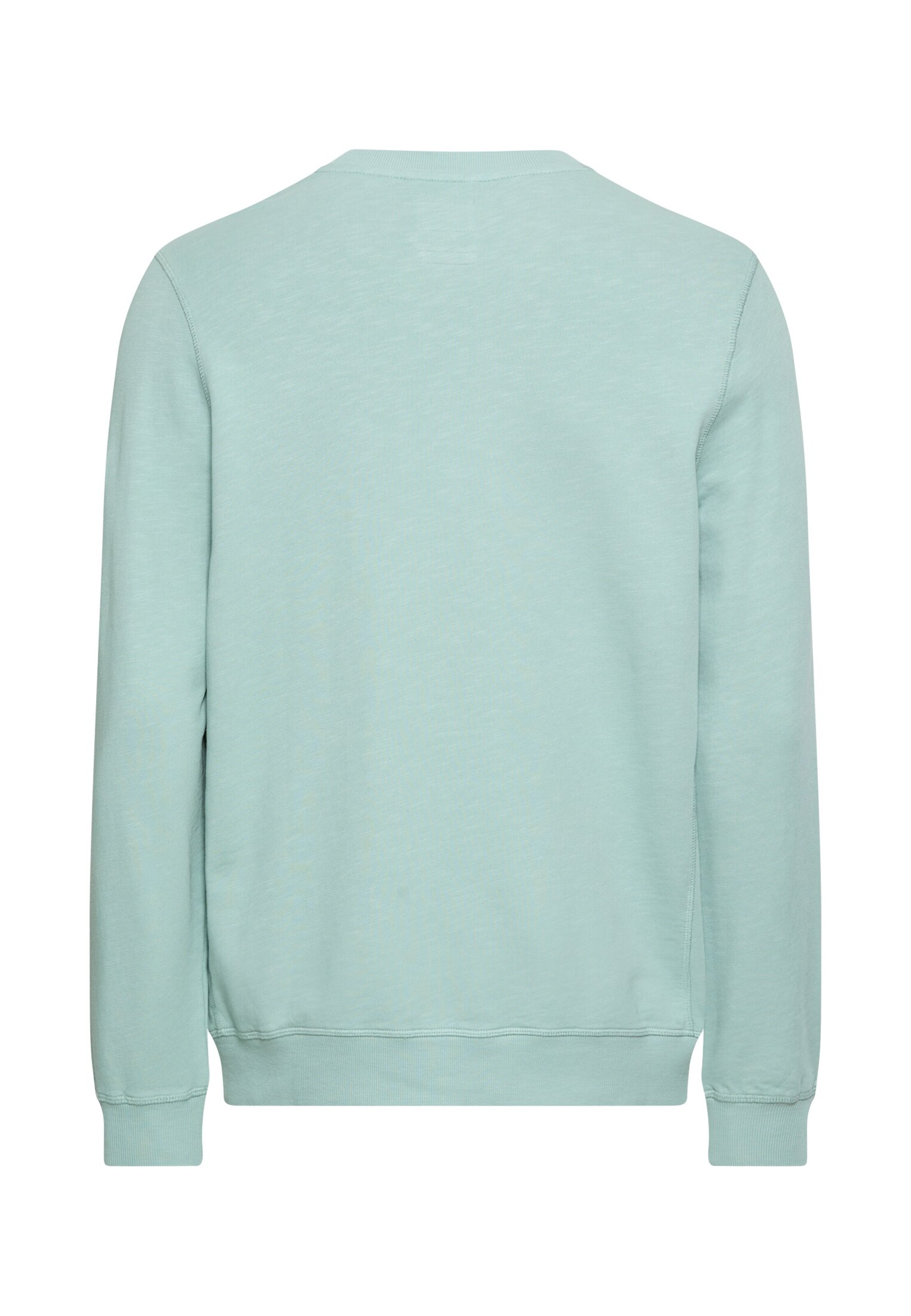 CAMEL ACTIVE Sweatshirt in Grün