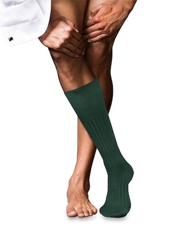 FALKE Knee High Socks 'No. 13 Finest Piuma Cotton' in Green: front