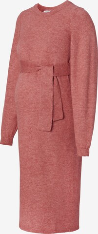 Noppies Dress 'Pembroke' in Pink