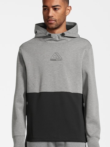 AÉROPOSTALE Sweatshirt i grå