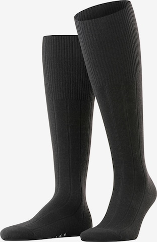 FALKE Knee High Socks 'Lhasa Rib' in Black: front