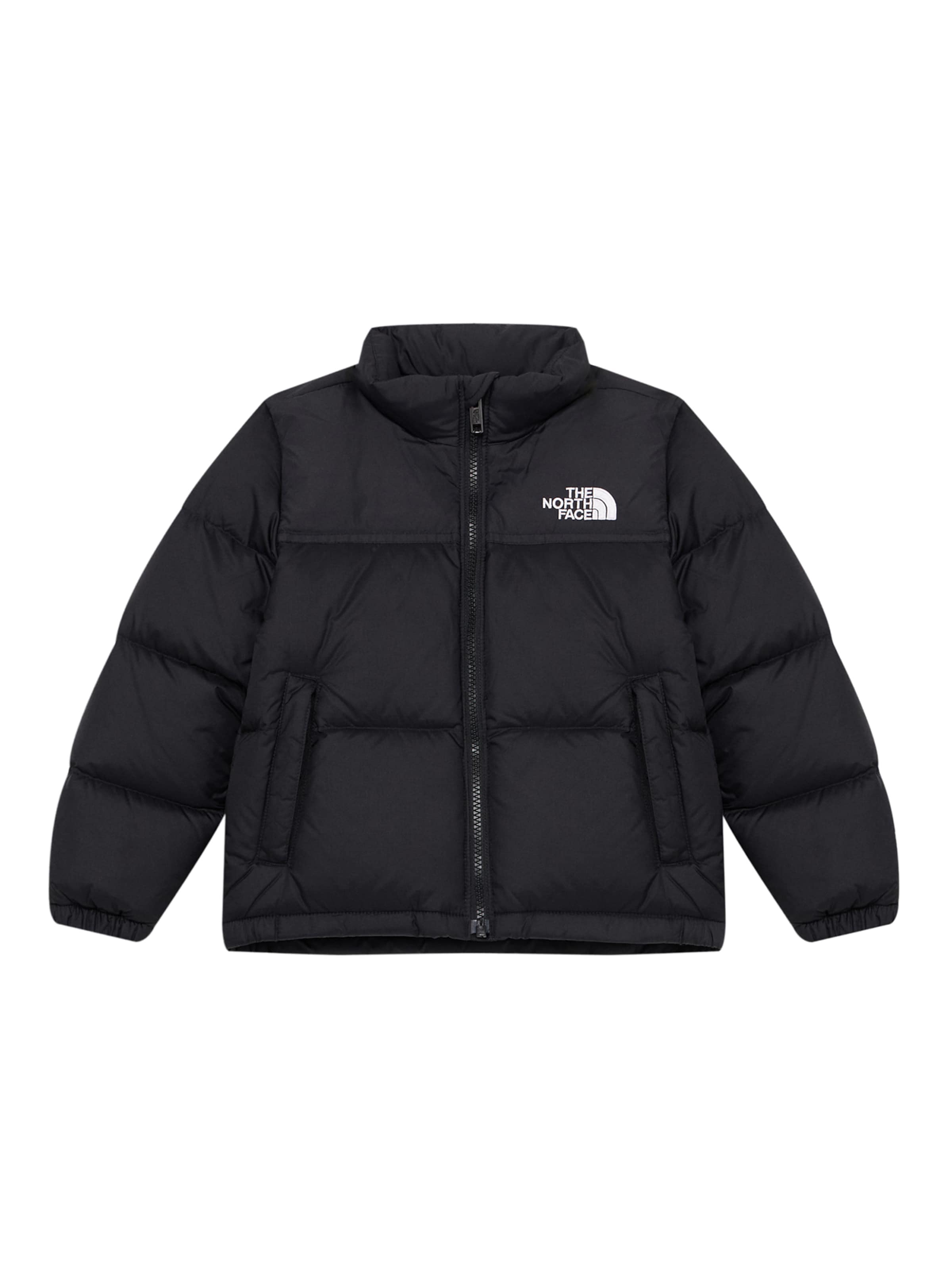 THE NORTH FACE Ulkoilutakki '1996 RETRO NUPTSE' värissä musta: etupuoli