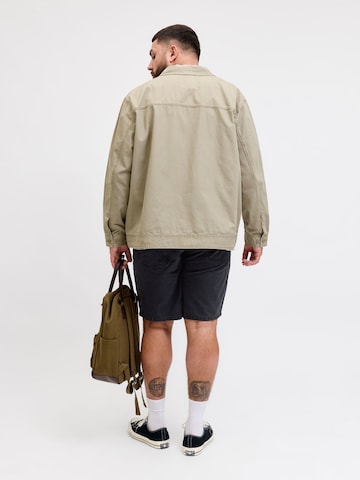 JACK & JONES regular Bukser i sort