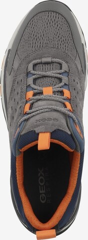 GEOX Sneaker 'Sterrato' in Grau