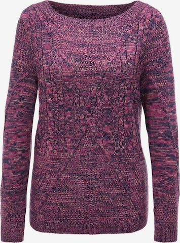 Goldner Sweater in Purple: front