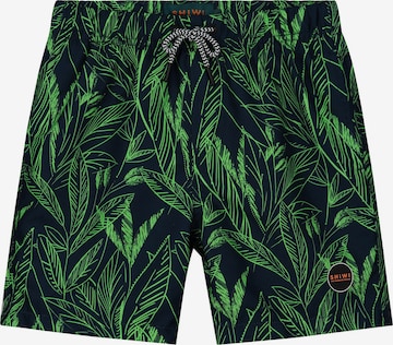 Shiwi Board Shorts 'Scratched leaves' in Blue: front