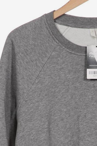 Arket Sweatshirt & Zip-Up Hoodie in S in Grey