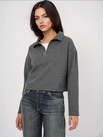 Bigdart Pullover in Grau