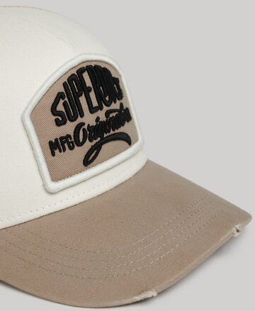 Superdry Pet in Beige