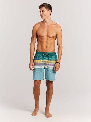 PROTEST Badeshorts 'PRTLatika'‌‌ in Grün