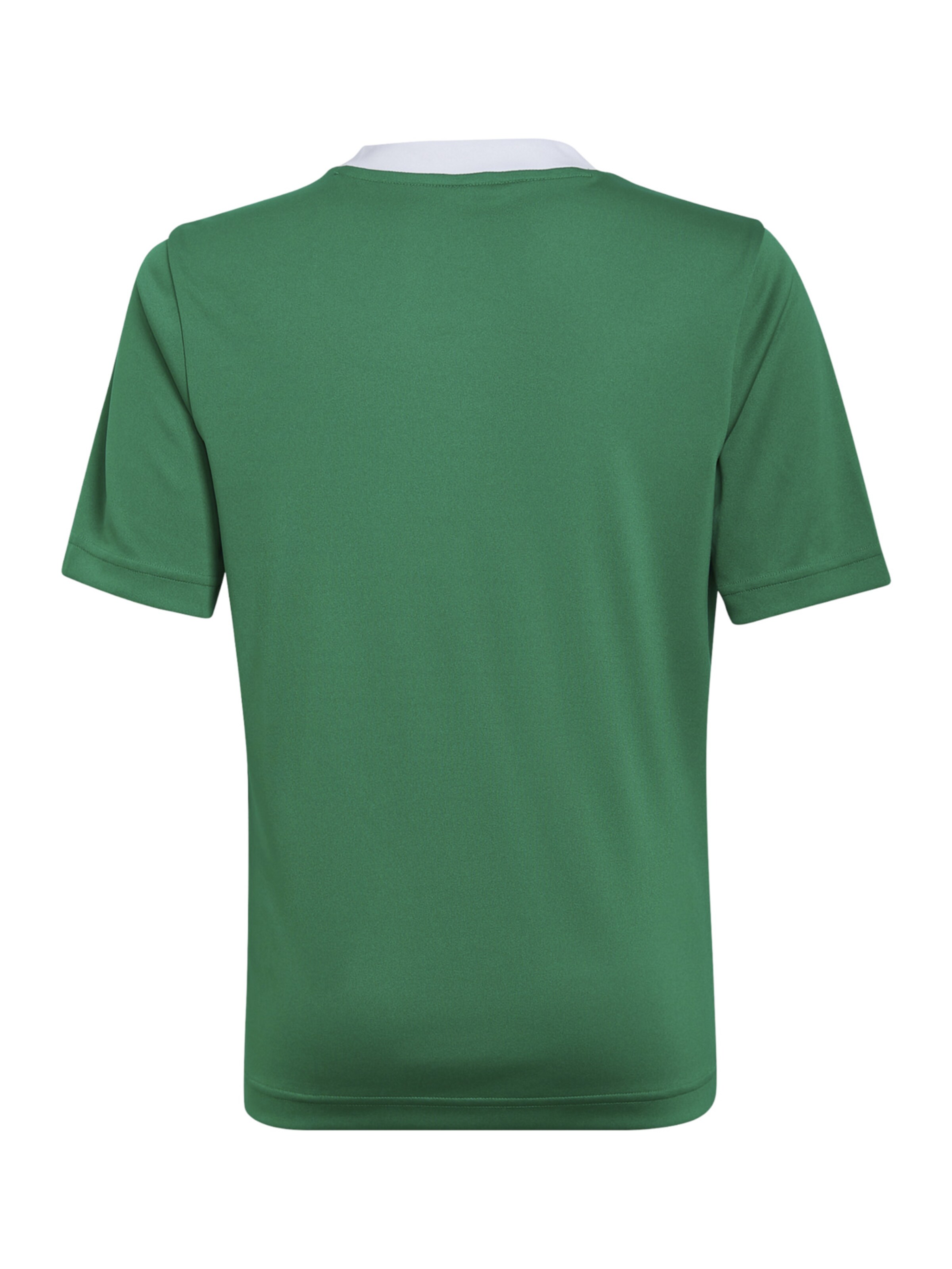 ADIDAS PERFORMANCE Functioneel shirt 'Entrada 22' in Groen