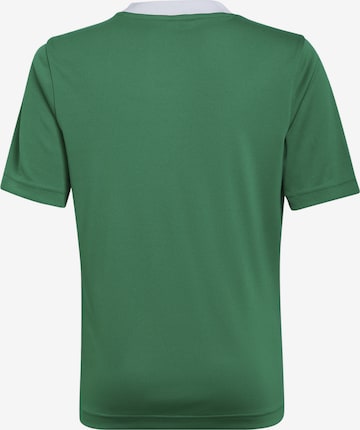 ADIDAS PERFORMANCE - Camisa funcionais 'Entrada 22' em verde