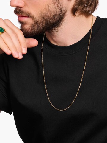 Thomas Sabo Necklace in Gold: front