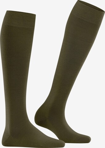 FALKE Knee High Socks 'Softmerino' in Green: front