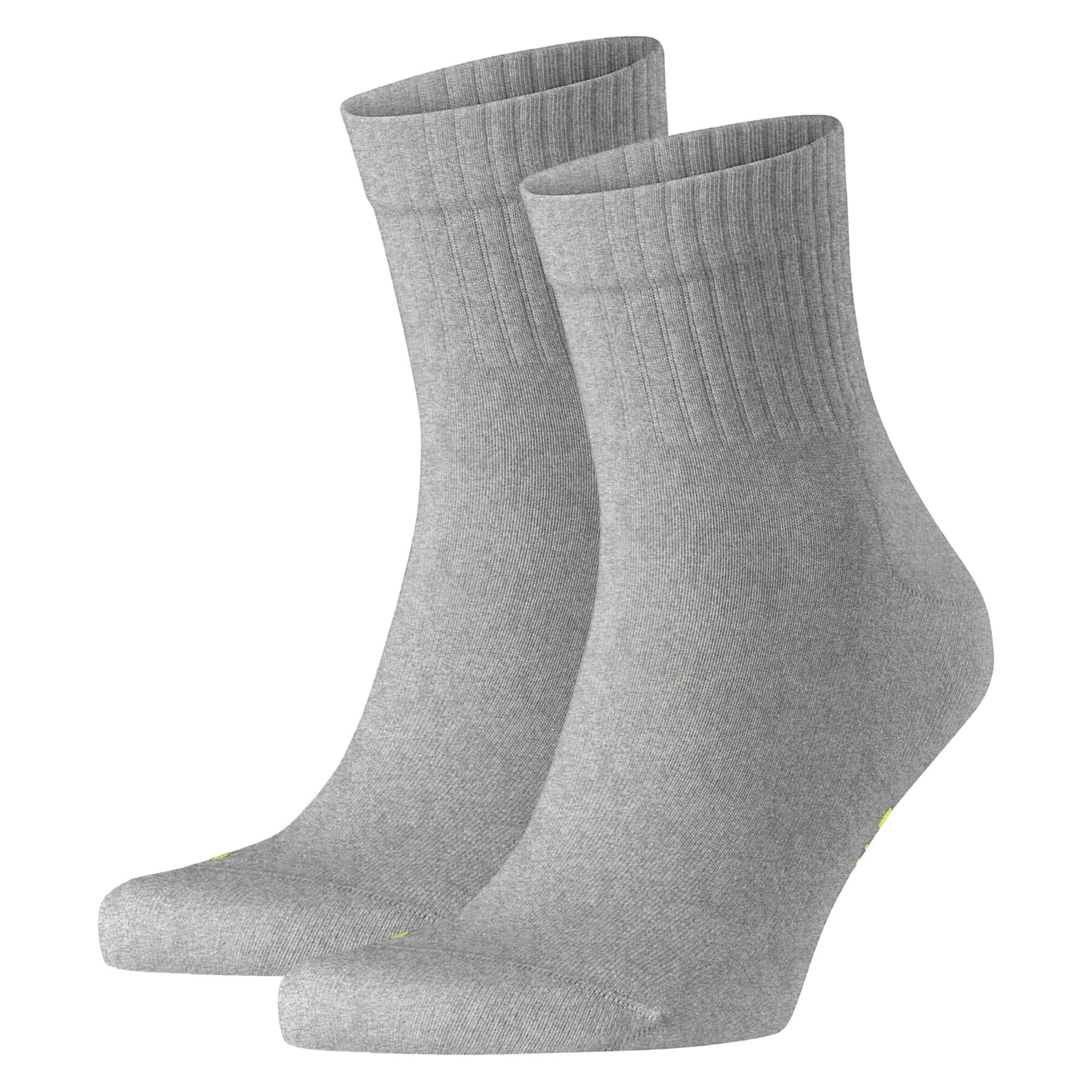 Chaussettes FALKE en gris : devant