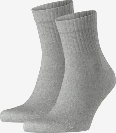FALKE Socks in Light grey, Item view