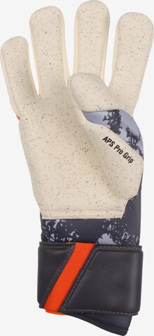 DERBYSTAR Athletic Gloves in Grey