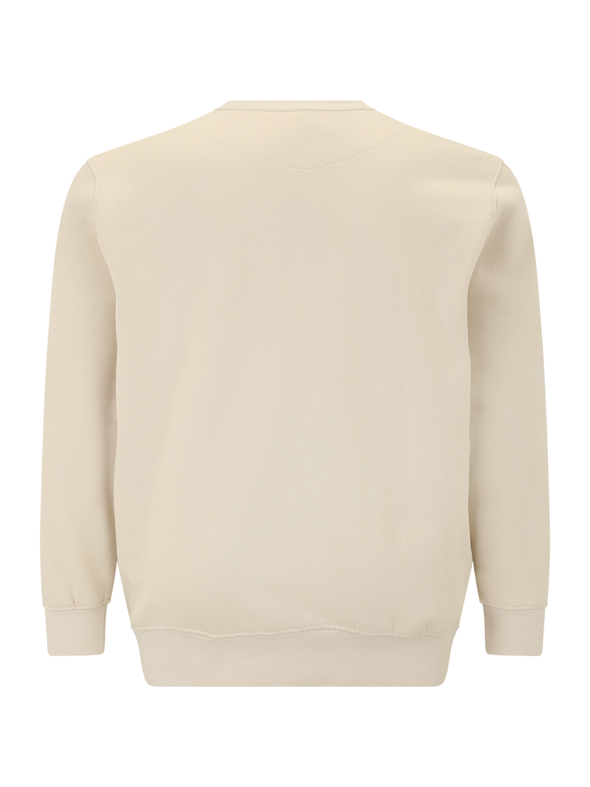 Jack & Jones Plus Mikina 'JJESOHO' – šedá