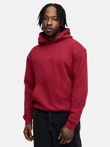 Daily Cotton Sweatshirt 'DCAUSTIN' in Rot