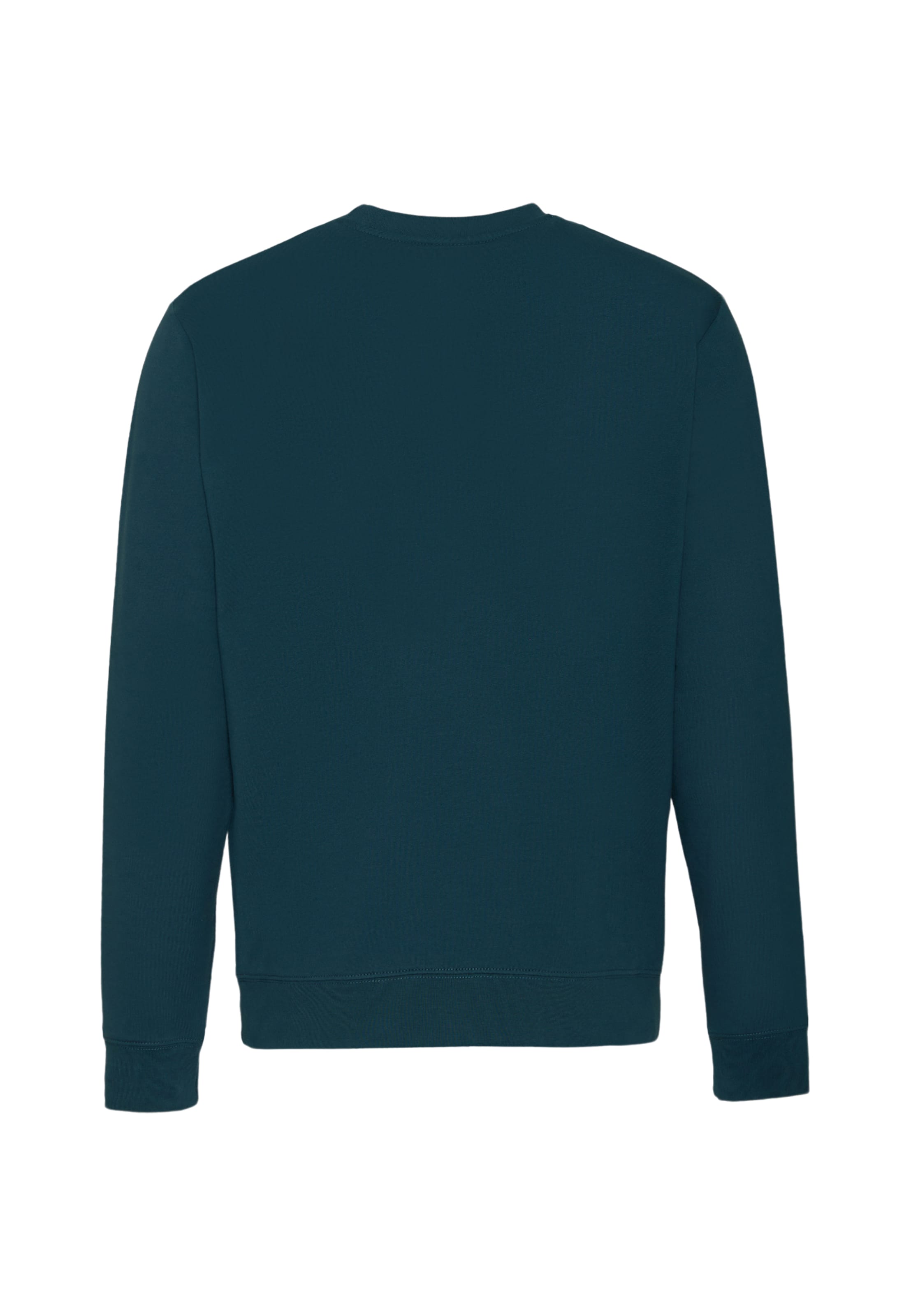 Oldskull Sweatshirt 'Basic Osk' in Green