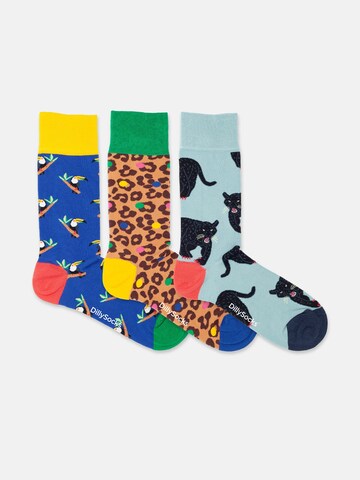 Chaussettes 'Exotic Trio' DillySocks en mélange de couleurs