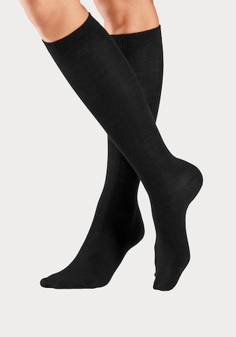 BENCH Knee High Socks in Black