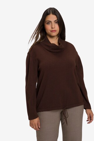 Ulla Popken Sweater in Brown: front