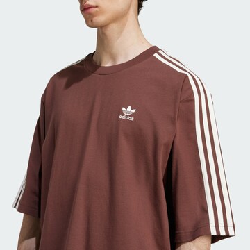 ADIDAS ORIGINALS Футболка 'Adicolor' в Коричневый