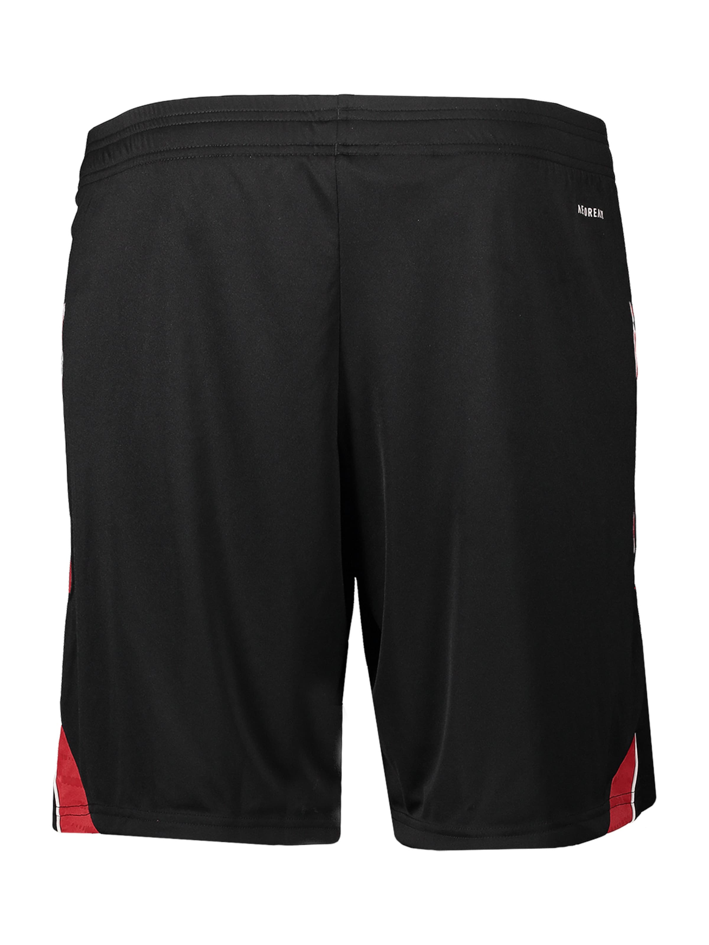 Regular Pantaloni sport 'FC Nürnberg' de la ADIDAS PERFORMANCE pe negru