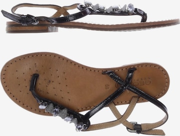 GEOX Sandalen 36 in Schwarz: Vorderseite