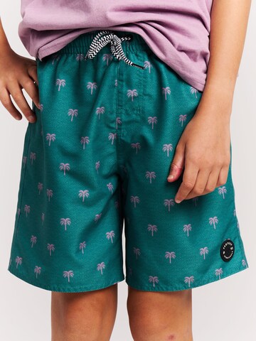 PROTEST Board Shorts 'PRTCalvin JR' in Green