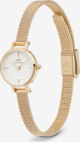 Daniel Wellington Analog Watch in Gold: front