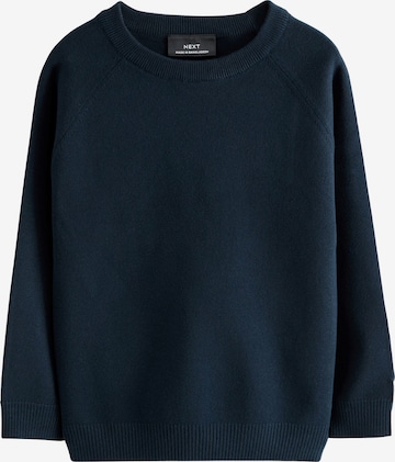 mėlyna Next Megztinis: priekis