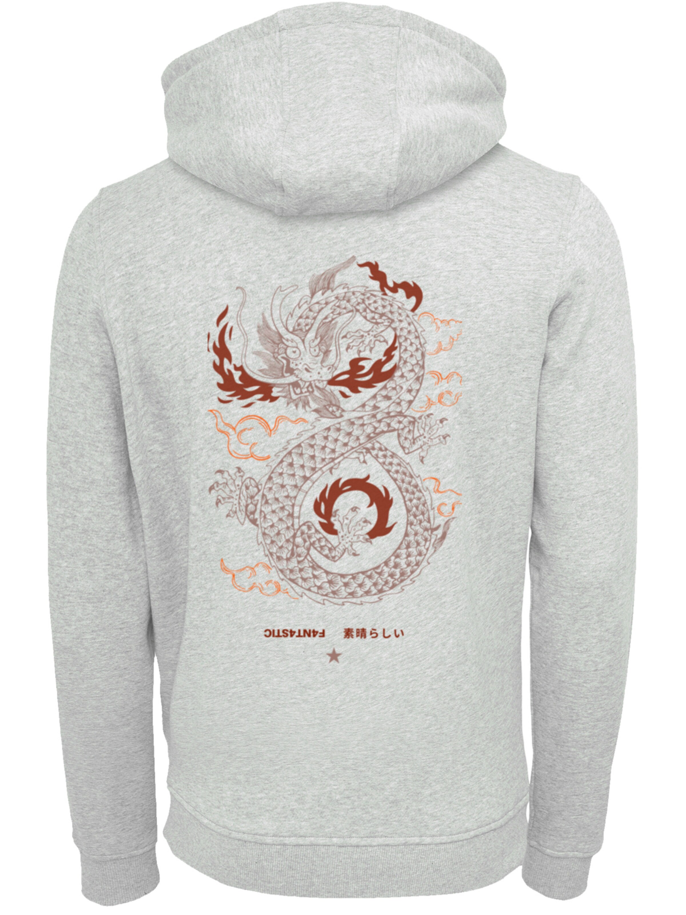 Sweat-shirt 'Dragon fire' F4NT4STIC en gris