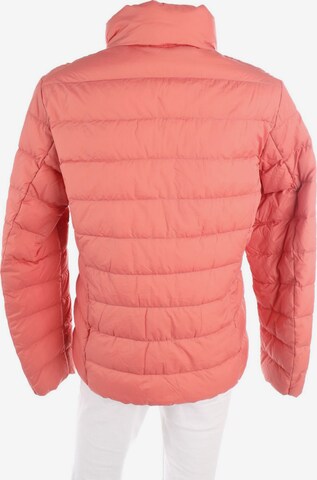 UNIQLO Jacket & Coat in M in Pink