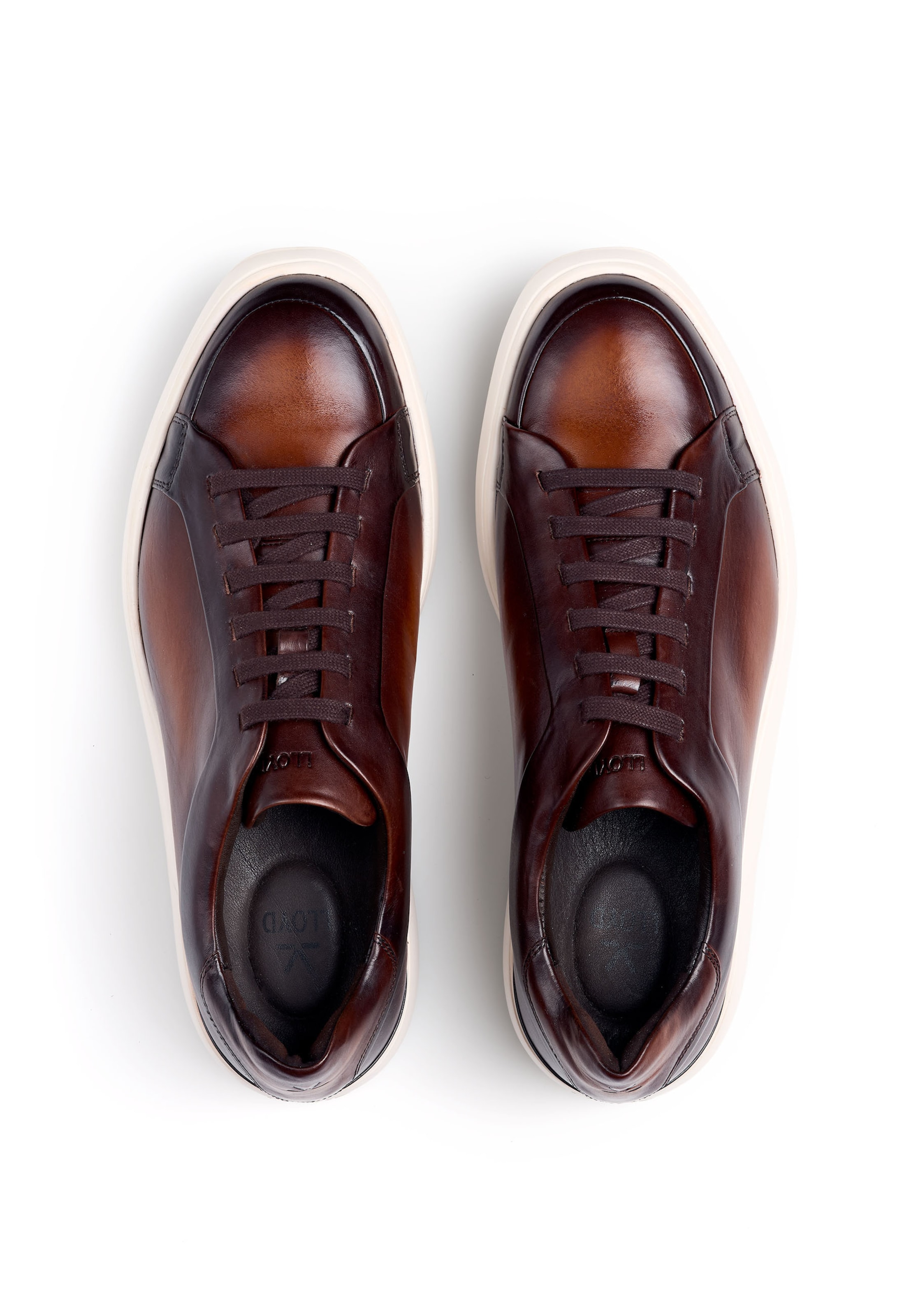 LLOYD High-Top Sneakers in Brown