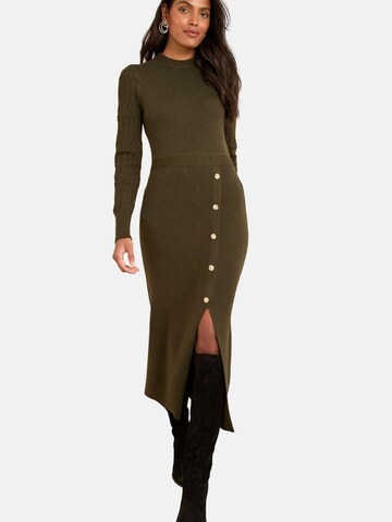 love & roses Knit dress in Green: front