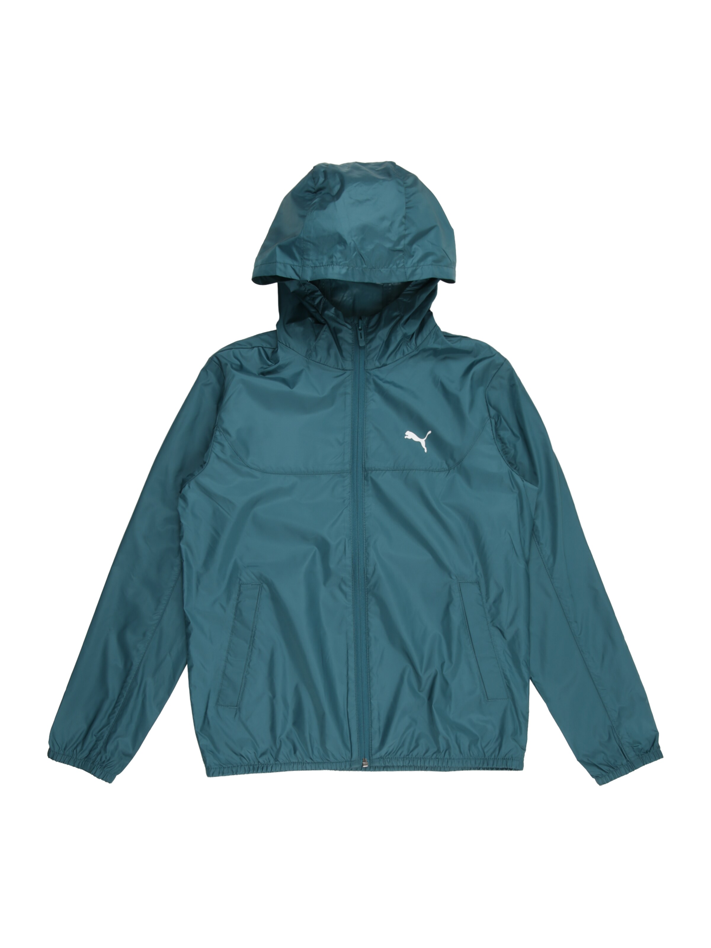 PUMA Športna jakna 'Essentials' | zelena barva: sprednja stran