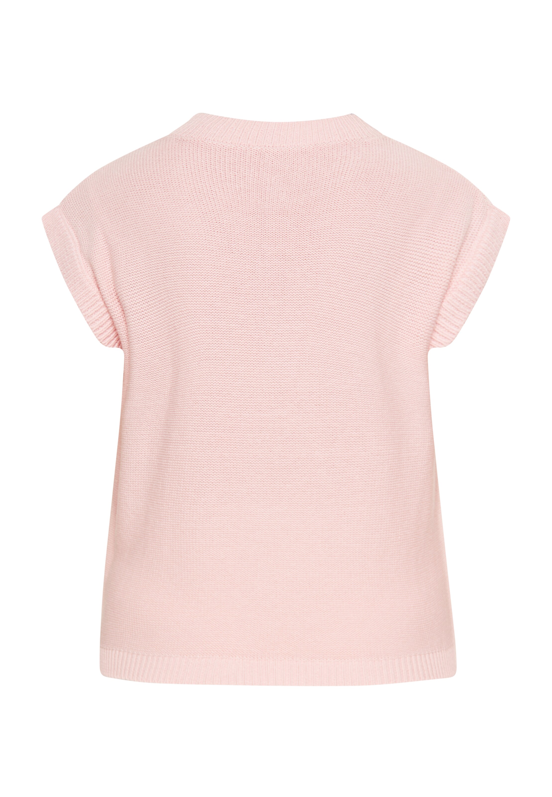 Gaya Sweater 'Festival' in Pink