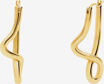 Lucardi Oorbellen 'Elegant' in Goud: voorkant