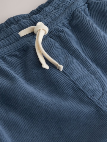 Next Regular Trousers in Blue