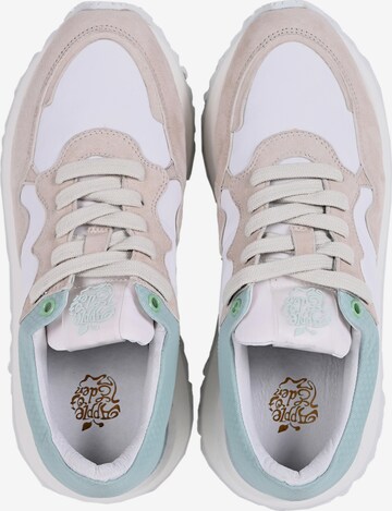 Apple of Eden Sneakers laag 'Lola' in Groen