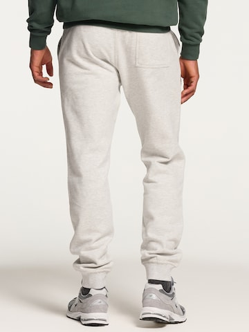 Shiwi Tapered Trousers in Grey