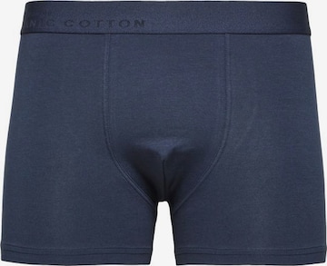 SELECTED HOMME Boxer shorts in Blue: front