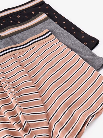 Penti Boxershorts 'PENTI Herren Boxer Ember gestreift'‌‌‌‌‌‌ in Braun