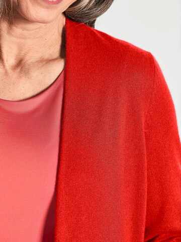 Goldner Sweater in Red