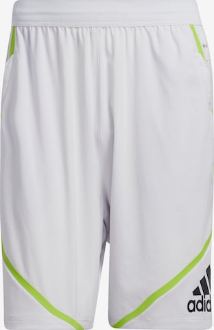 ADIDAS SPORTSWEAR Regular Shorts in Grau: predná strana
