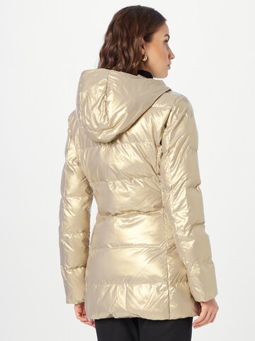 EA7 Emporio Armani Winterjacke in Gold