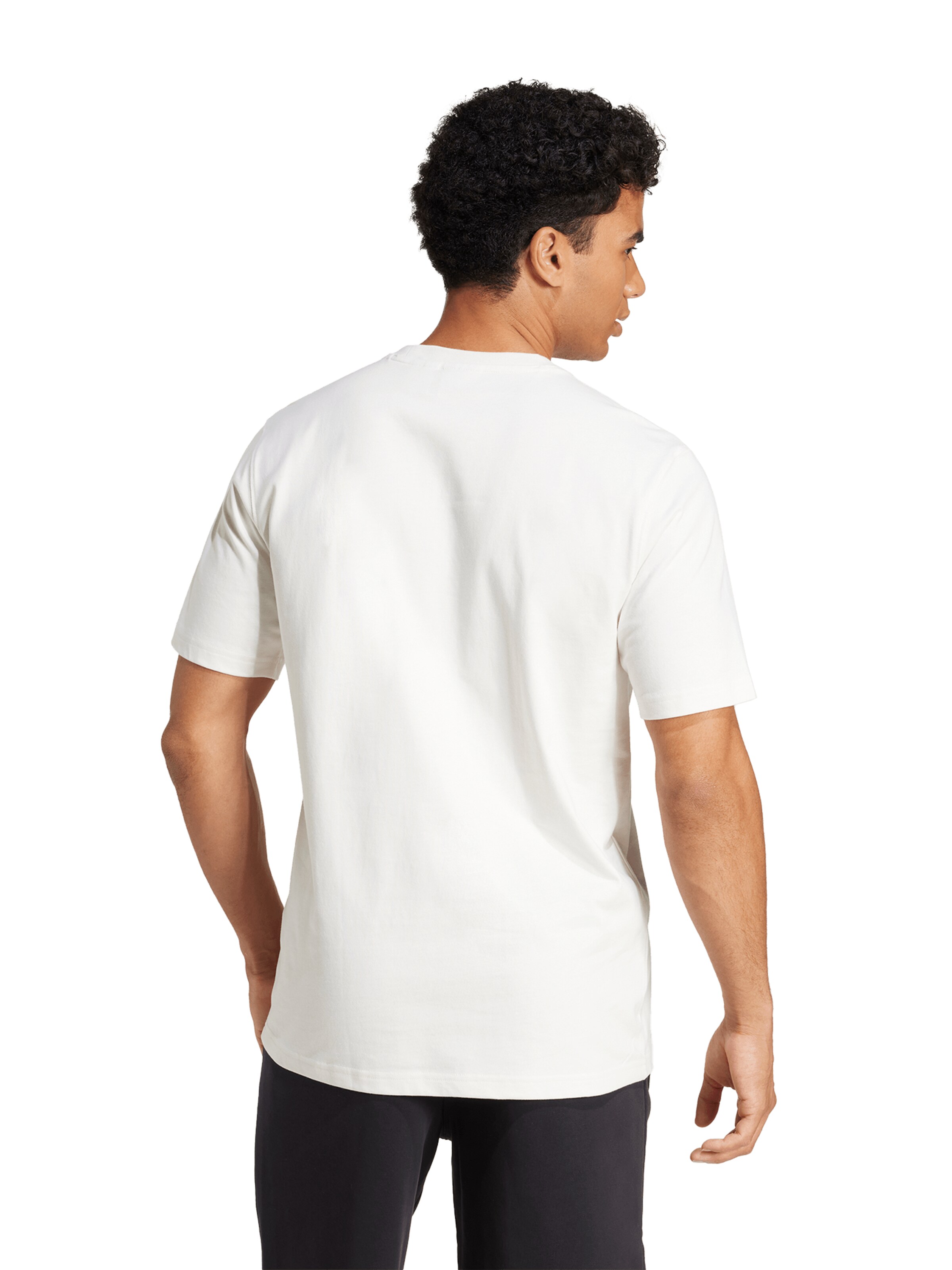 ADIDAS PERFORMANCE Koszulka funkcyjna 'DFB 125 Jahre' w kolorze biały